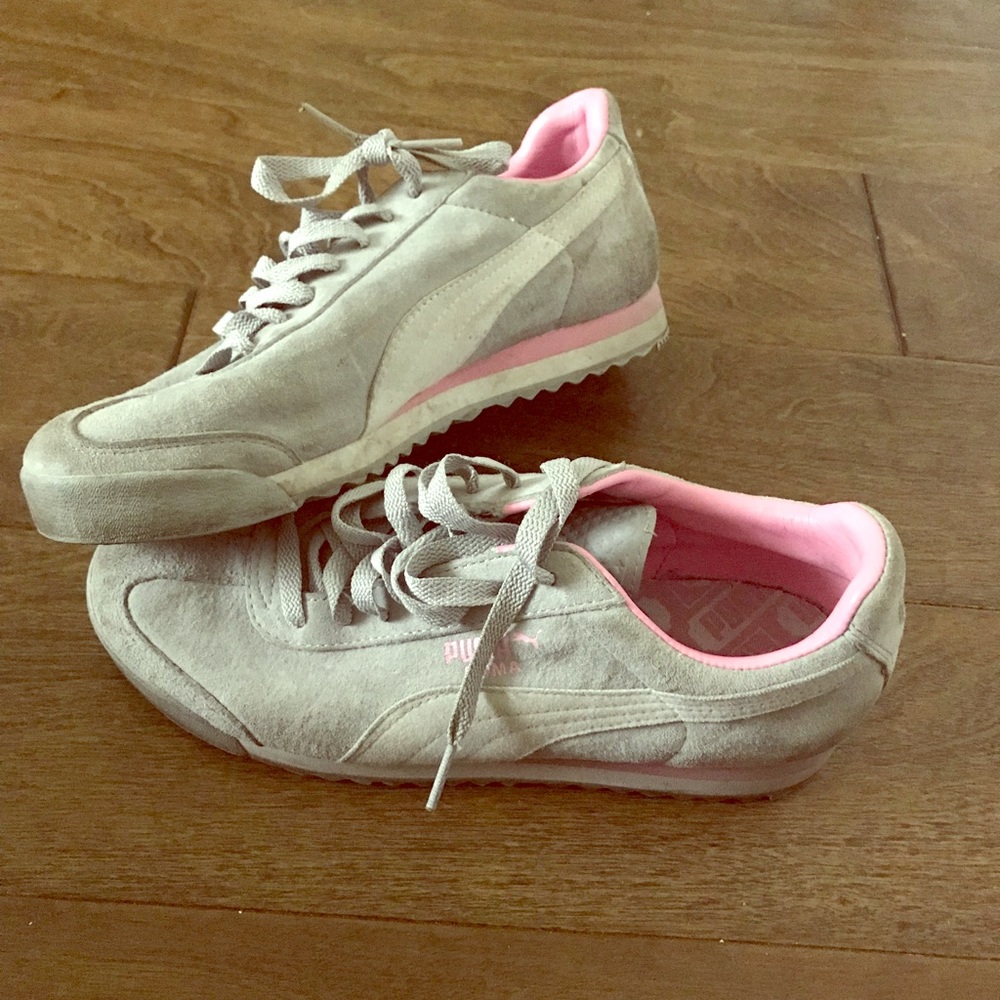 Grey pumas
